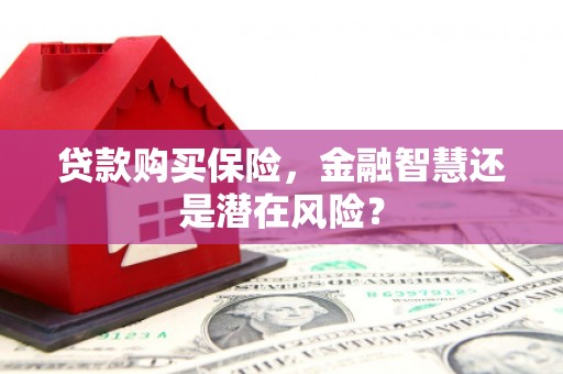 漠河贷款购买保险，金融智慧还是潜在风险？