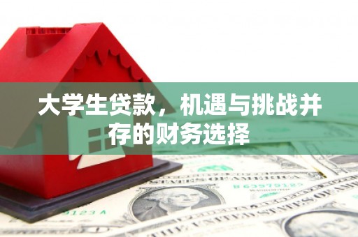 漠河大学生贷款，机遇与挑战并存的财务选择
