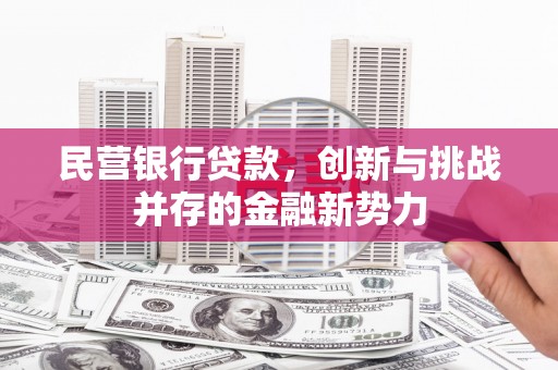 漠河民营银行贷款，创新与挑战并存的金融新势力