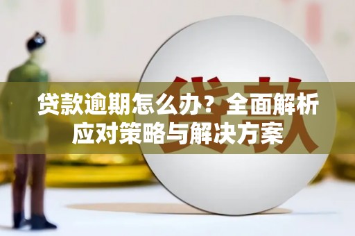 漠河贷款逾期怎么办？全面解析应对策略与解决方案