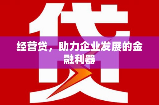 漠河经营贷，助力企业发展的金融利器