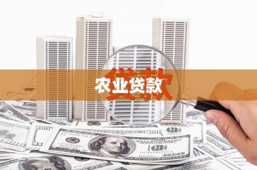 漠河农业贷款
