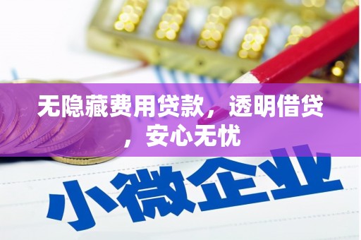 漠河无隐藏费用贷款，透明借贷，安心无忧