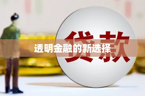 漠河透明金融的新选择