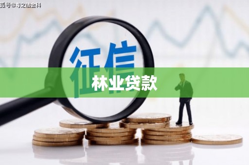 漠河林业贷款