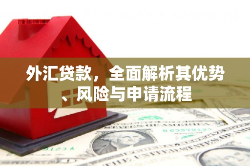 漠河外汇贷款，全面解析其优势、风险与申请流程