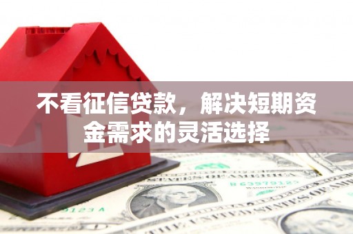 漠河不看征信贷款，解决短期资金需求的灵活选择