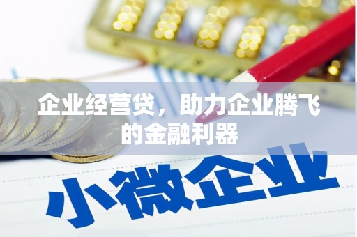 漠河企业经营贷，助力企业腾飞的金融利器