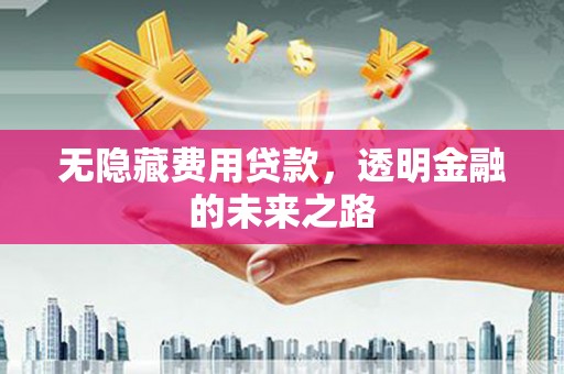 漠河无隐藏费用贷款，透明金融的未来之路