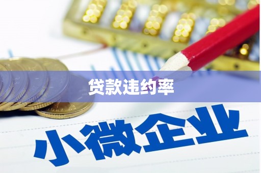 漠河贷款违约率