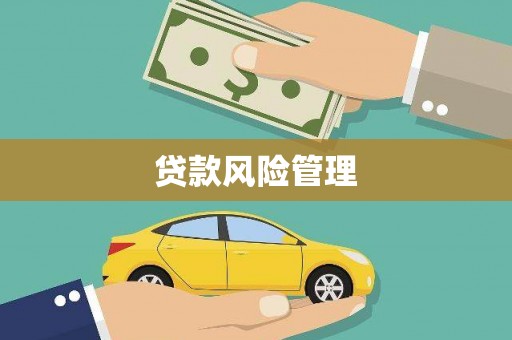 漠河贷款风险管理