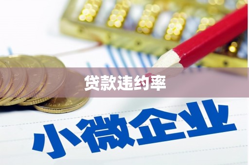 漠河贷款违约率
