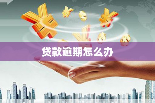 漠河贷款逾期怎么办