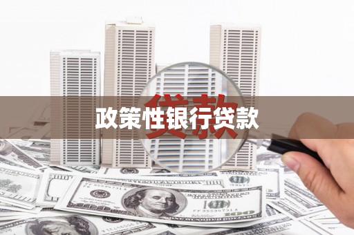 漠河政策性银行贷款