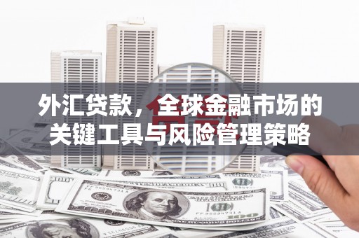 漠河外汇贷款，全球金融市场的关键工具与风险管理策略