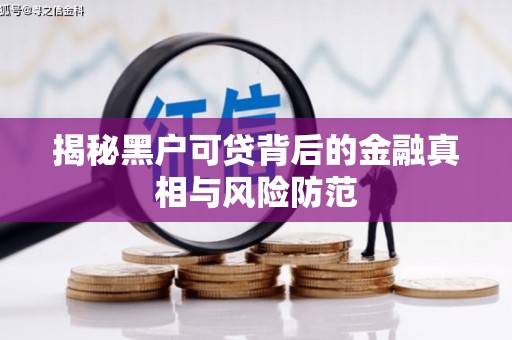 漠河揭秘黑户可贷背后的金融真相与风险防范