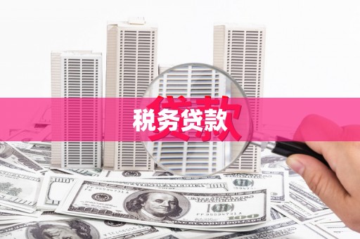 漠河税务贷款
