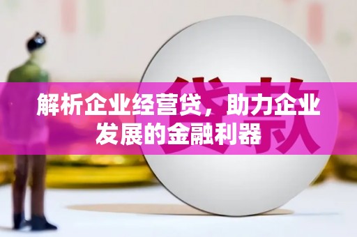 漠河解析企业经营贷，助力企业发展的金融利器