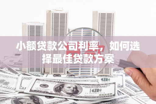 漠河小额贷款公司利率，如何选择最佳贷款方案