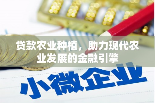漠河贷款农业种植，助力现代农业发展的金融引擎