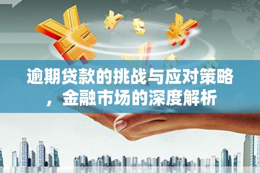 漠河逾期贷款的挑战与应对策略，金融市场的深度解析