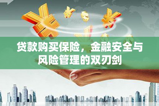 漠河贷款购买保险，金融安全与风险管理的双刃剑
