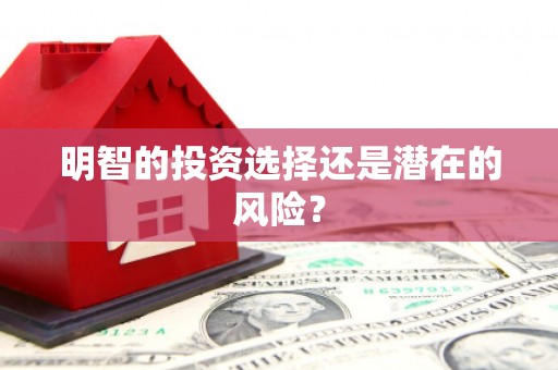 漠河明智的投资选择还是潜在的风险？