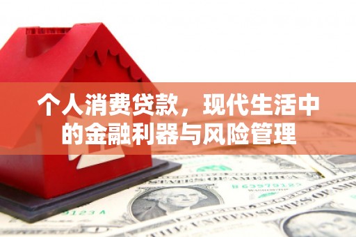 漠河个人消费贷款，现代生活中的金融利器与风险管理