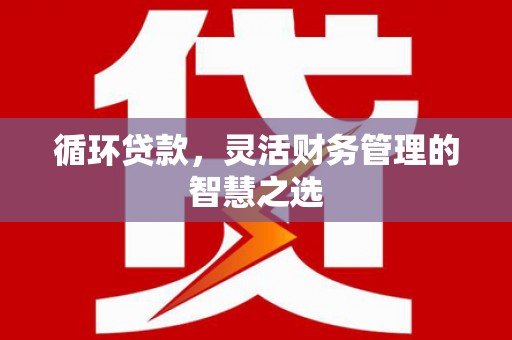漠河循环贷款，灵活财务管理的智慧之选