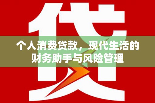 漠河个人消费贷款，现代生活的财务助手与风险管理