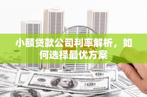 漠河小额贷款公司利率解析，如何选择最优方案