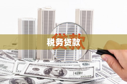 漠河税务贷款