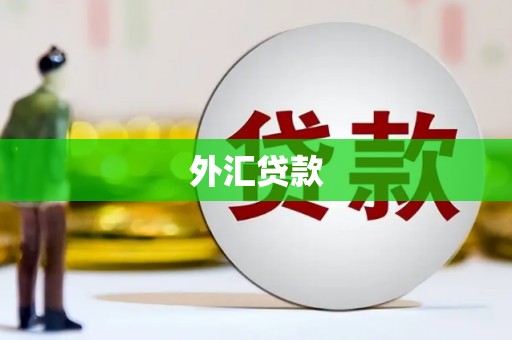 漠河外汇贷款