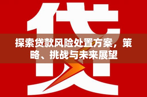 漠河探索贷款风险处置方案，策略、挑战与未来展望