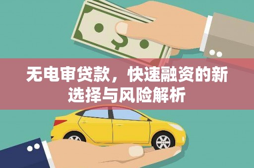 漠河无电审贷款，快速融资的新选择与风险解析