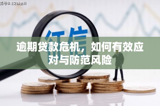 漠河逾期贷款危机，如何有效应对与防范风险