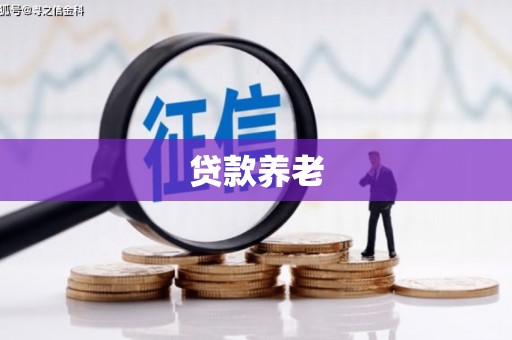漠河贷款养老