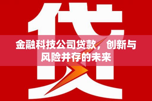 漠河金融科技公司贷款，创新与风险并存的未来