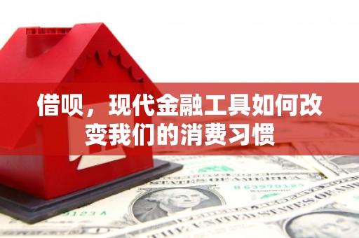 漠河借呗，现代金融工具如何改变我们的消费习惯