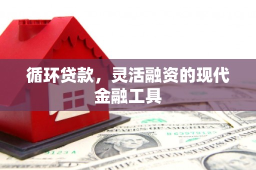 漠河循环贷款，灵活融资的现代金融工具