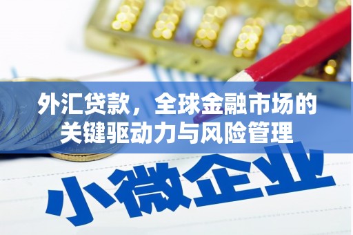 漠河外汇贷款，全球金融市场的关键驱动力与风险管理