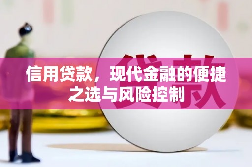 漠河信用贷款，现代金融的便捷之选与风险控制