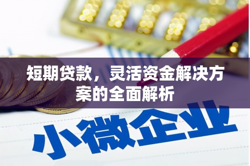 漠河短期贷款，灵活资金解决方案的全面解析