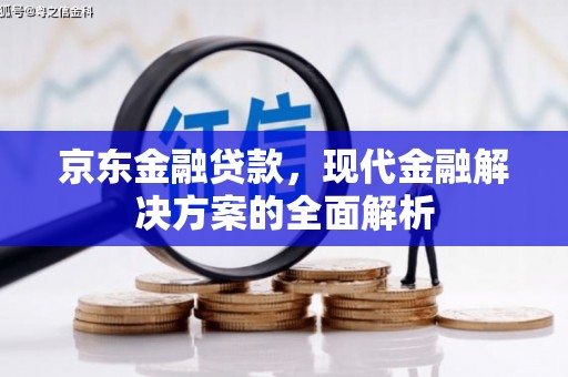 漠河京东金融贷款，现代金融解决方案的全面解析