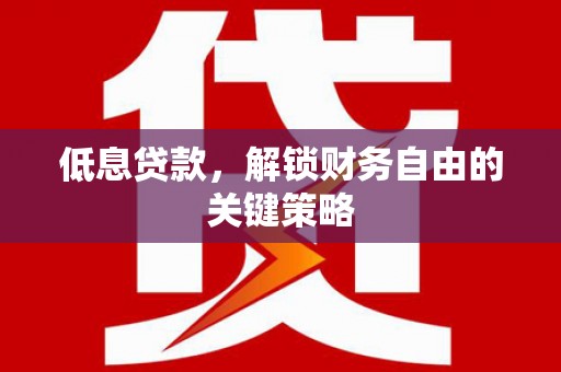 漠河低息贷款，解锁财务自由的关键策略