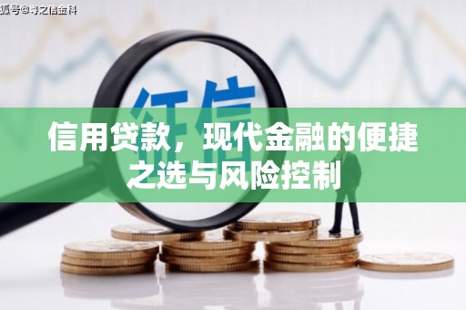 漠河信用贷款，现代金融的便捷之选与风险控制