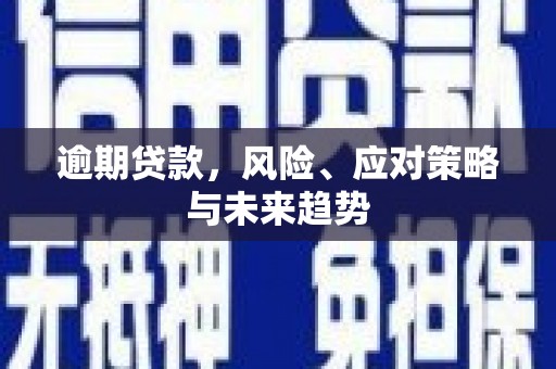 漠河逾期贷款，风险、应对策略与未来趋势