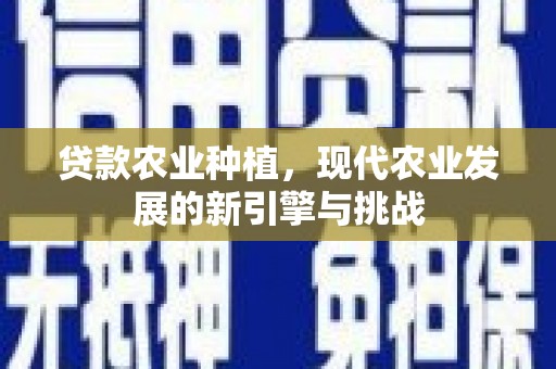 漠河贷款农业种植，现代农业发展的新引擎与挑战