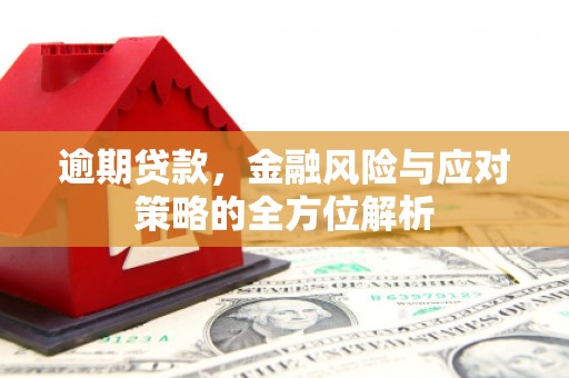 漠河逾期贷款，金融风险与应对策略的全方位解析