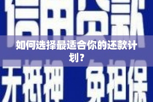 漠河如何选择最适合你的还款计划？
